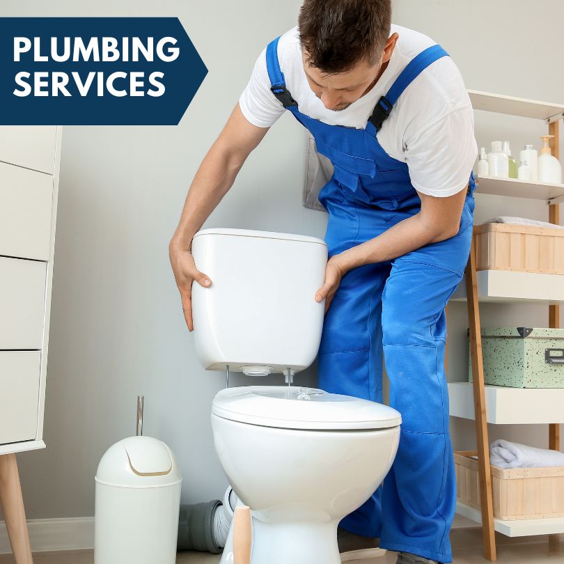 Plumbing Company in Loami, IL
